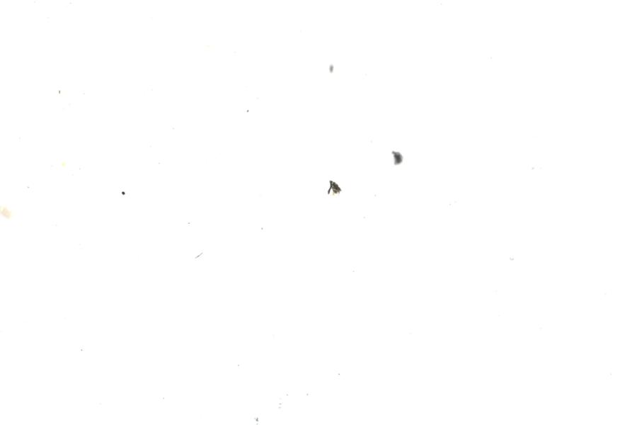 Image 155